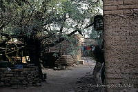 DK2354 Aguascalientes (2).jpg