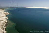 CNS0481 Laguna San Ignacio, Baja California Sur.jpg