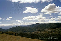 DK0916 Zimatlán, Oaxaca.jpg