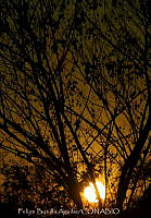 FBA1333 Atardecer en agua blanca.jpg