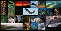 2Collage_ Biodiversidad.jpg