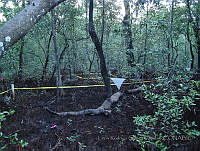 LRGA015 Coatzacoalcos, Veracruz.jpg