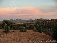 RHLFQ016-5 Chihuahua, México.jpg