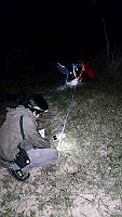 WI005 0079 Tliltocatl schroederi.jpg