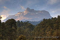 IMDOC0356 Parque Nacional Iztaccíhuatl-Popocatépetl, Estado de México.jpg