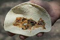 IMDOC3395 Chinche gigante xamuis.JPG