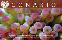 Calendario de bolsillo.pdf