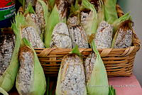 IMDOC Hong 0149 Ustilago maydis.jpg