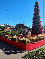 CM2 0122 Festividades navideñas.jpg