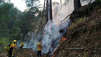 XE006 005 Incencio forestal Nevado de Toluca.jpg
