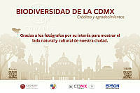 40_placa-zoo-creditos.jpg