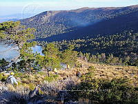 XR004 0003 Incendio forestal.jpg