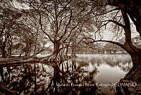 MDLMR002 Tangancícuaro, Michoacán.jpg