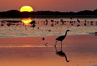 MDP03 Progreso, Yucatán.jpg