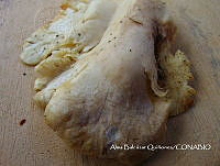 ZG007 0233 Pleurotus opuntiae.jpg