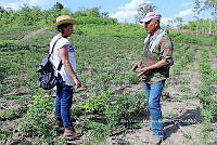 RG055 0042 Productor de chile.jpg