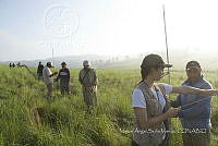 MASM07623 Red para aves.jpg