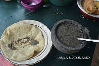 ZG009 121 Apis mellifera.jpg