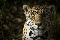 msicilia_MG_4765.jpg