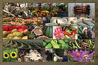 21 collage.jpg