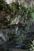 MASM03642 Tehuacán-Cuicatlán, Puebla-Oaxaca.jpg