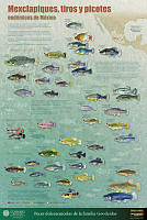 Cartel_goodeidos_cmyk90.pdf