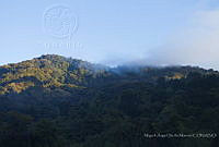 MASM08080 EL Triunfo, Chiapas.jpg