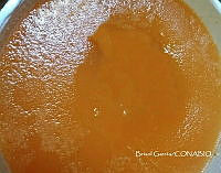 ZG013 0059 Apis mellifera.jpg