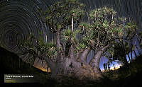 32_PLANTAS_1_2017-02-16_135536_10486.jpg