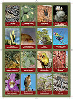 planilla10.pdf