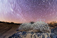 BETB002 El Pinacate, Sonora.jpg