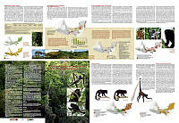 primates [6].pdf