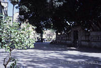 DK0544 Tlaquepaque, Jalisco.jpg