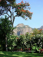 CGL5140 Tepoztlán.jpg