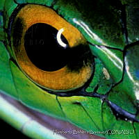 HBB0099 Leptophis ahaetulla.jpg