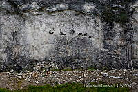 LRP1103 Yanhuitlán, Oaxaca (2).jpg