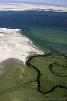 CNS0480 Laguna San Ignacio, Baja California Sur.jpg