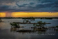 FVC01 Yucatán, México (2).JPG