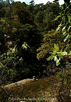 FBA1298 Paisaje em San Agustín Loxicha.jpg