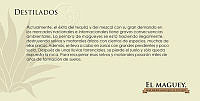 21d  MAGUEY3 copia.JPG