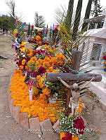 CM 0002 Ofrenda de día de muertos (2) (2) (2).jpg