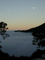 MGvarios68 Oaxaca, México.jpg