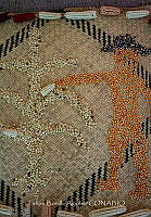 FBA0887 Zea mays.jpg