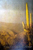 FGM3571 Carnegiea gigantea.JPG