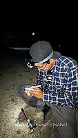 WI005 0088 Tliltocatl schroederi.jpg