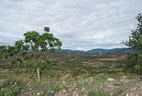 DK0721 Mixteca Baja, Oaxaca.jpg