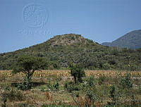 JDGT01 Hidalgo, México.jpg