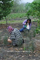 RG055 0048 Captura de fotos.JPG