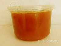 ZG013 0120 Apis mellifera.jpg