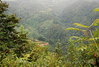 DK0612 Sierra Juárez, Oaxaca.jpg